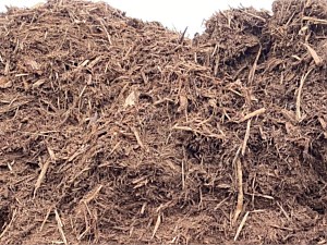 Single Hammerd Hardwood